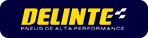 delinte-logo-1.png